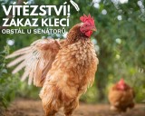 Úspěch! Česká republika se zákazem klecových chovů zařadila po bok vyspělých států (OBRAZ)
